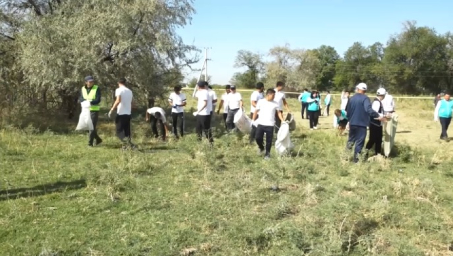 Активисты очистили парк от мусора в Байзакском районе