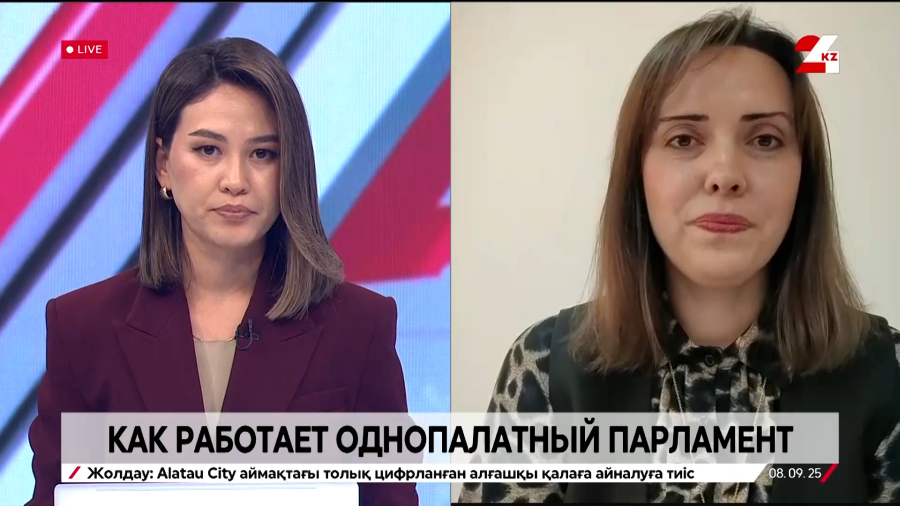 Как работает однопалатный парламент. Юлия Костяная