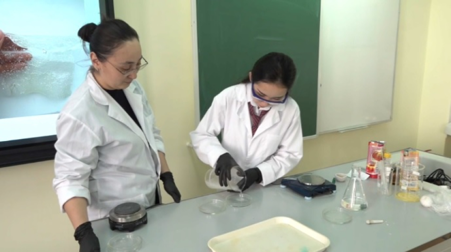 Школьница изобрела экологически безопасный биопластик