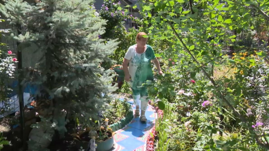 Пенсионерка разбила сад под окнами многоэтажки в Алматы