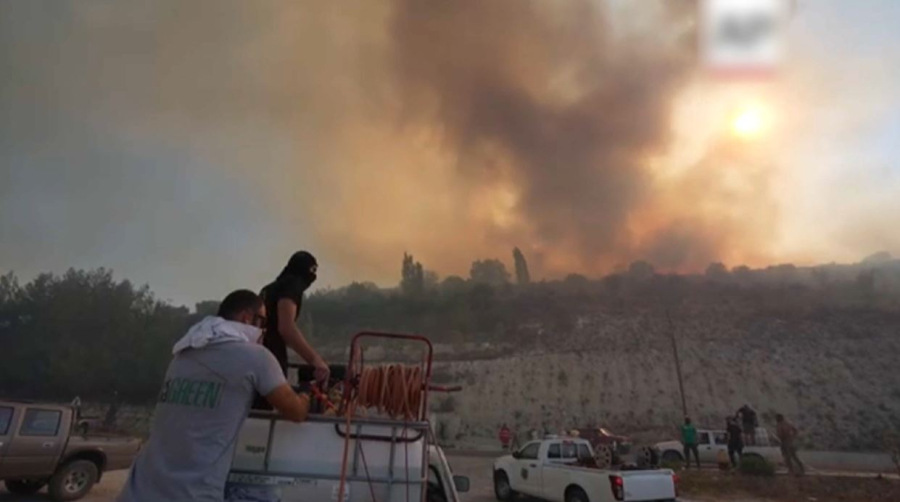 Кипрде 10 мың гектар орман жанып кетті