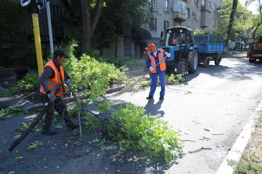 Экологический месячник пройдет в Алматы