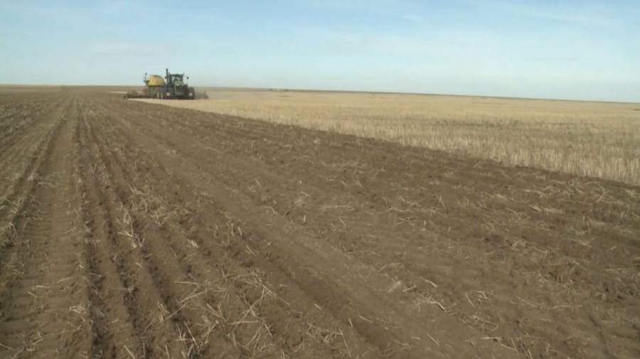 ₸700 млрд направили на льготное финансирование аграриев в 2025 году