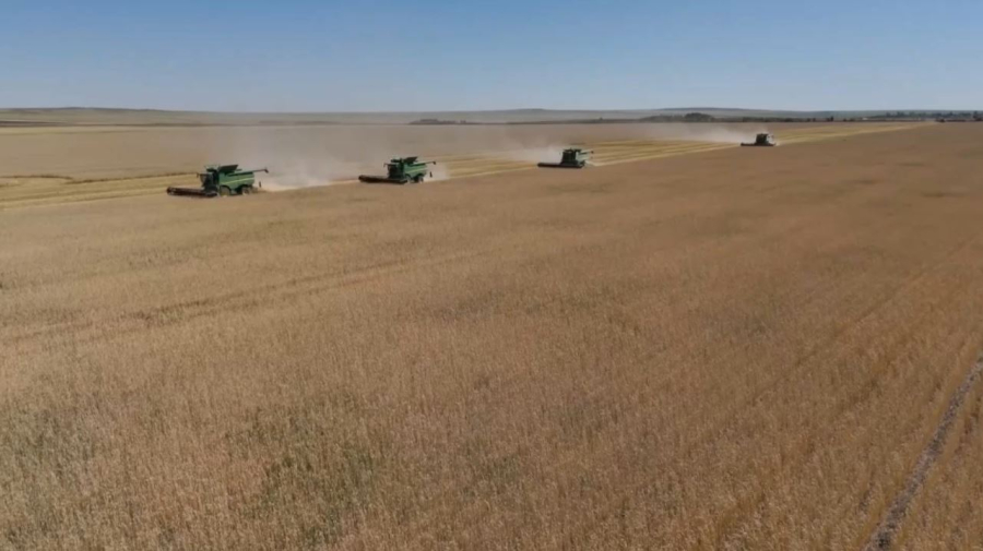 Ақмола облысында 1 млн тонна астық жиналды