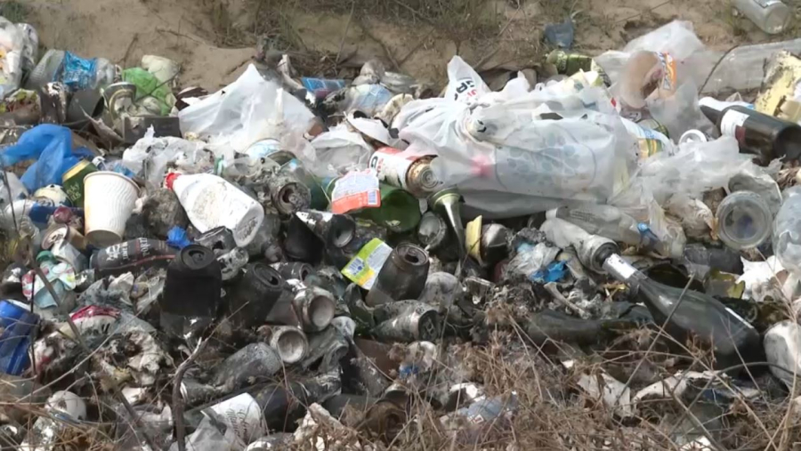 Қапшағайда «Таза су айдыны» экологиялық акциясы өтті