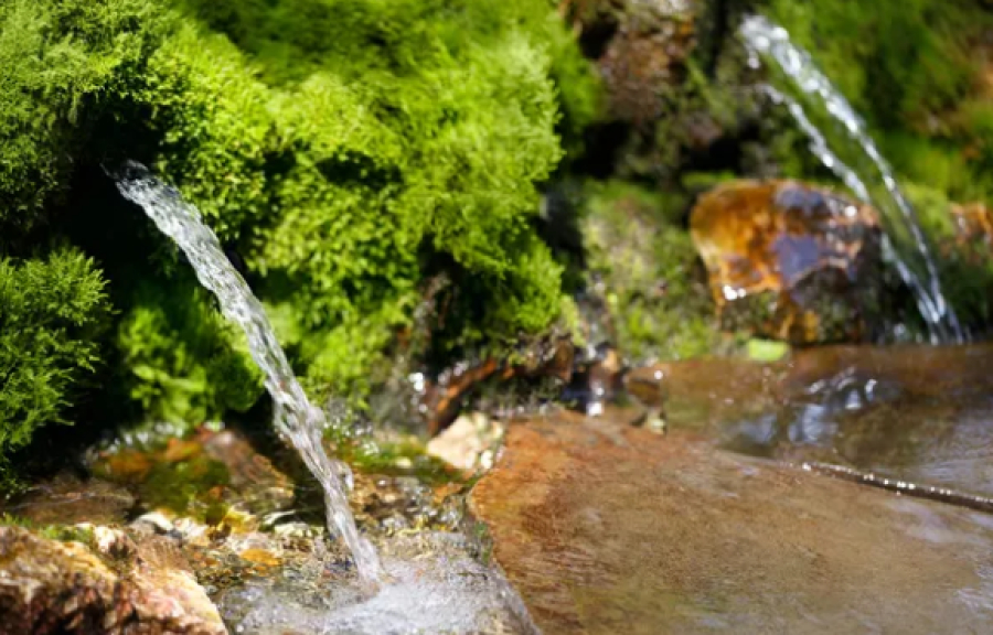 Более 700 потенциальных родников выявлено в Казахстане