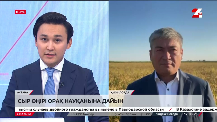 Қызылорда егін науқаны. Талғат Дүйсебаев