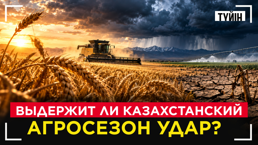 УБОРОЧНАЯ-2026: главный экзамен для аграриев Казахстана | Түйін