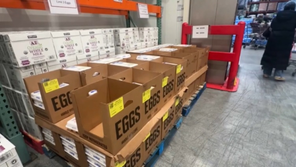 США закупят у Турции 420 млн куриных яиц