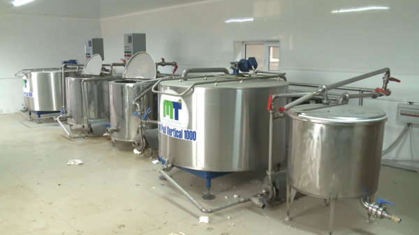 Атырау облысының Жасқайрат ауылында сүт өңдеу цехы ашылады