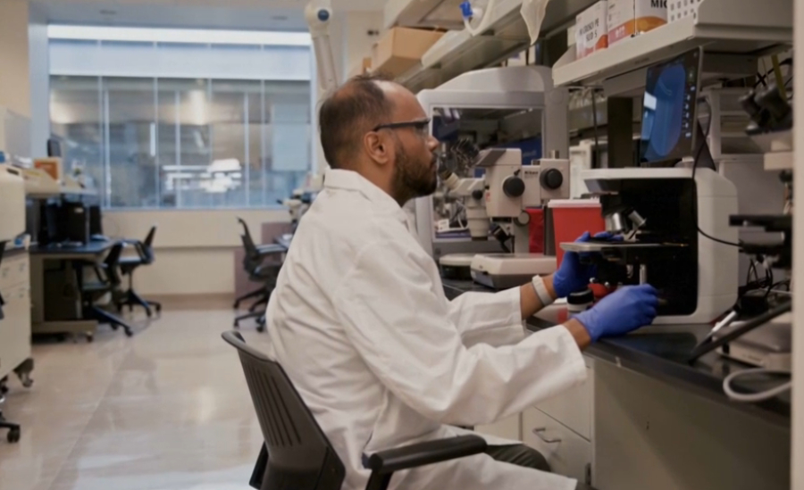 17% инфекций не лечатся антибиотиками