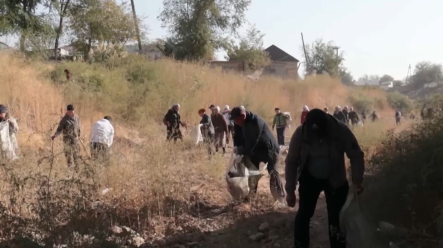 Добровольцы очистили набережную реки Арысь и канал Кабылсай