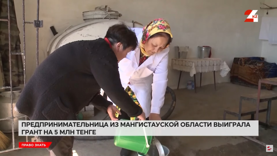 Где предпринимателям могут бесплатно разработать бизнес-план