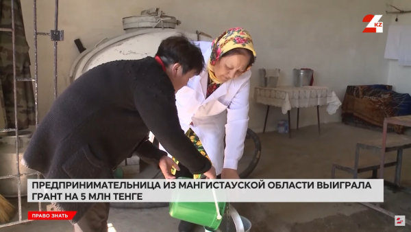 Где предпринимателям могут бесплатно разработать бизнес-план