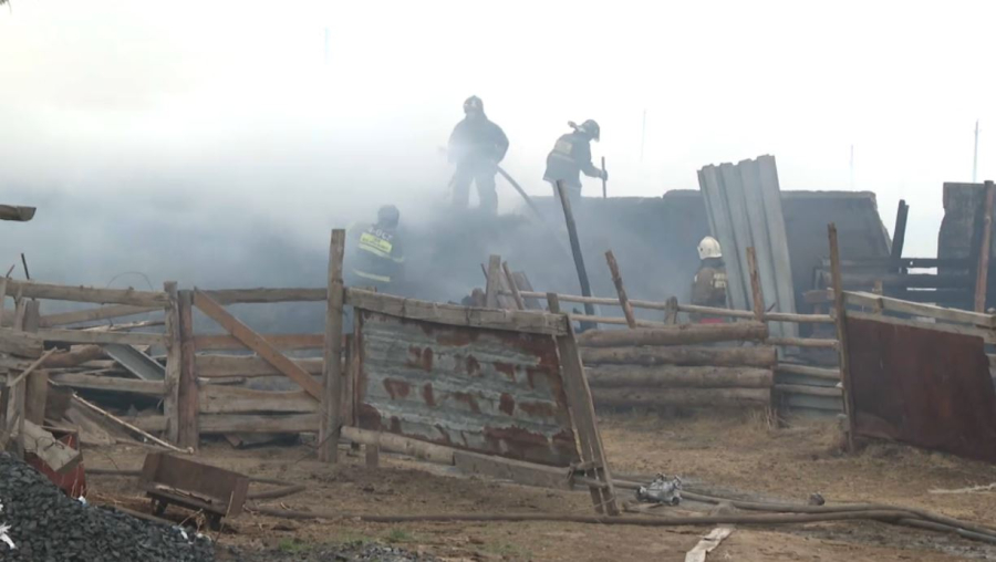 Абай облысында шемішке қабығы сақталған аумақ өртеніп жатыр