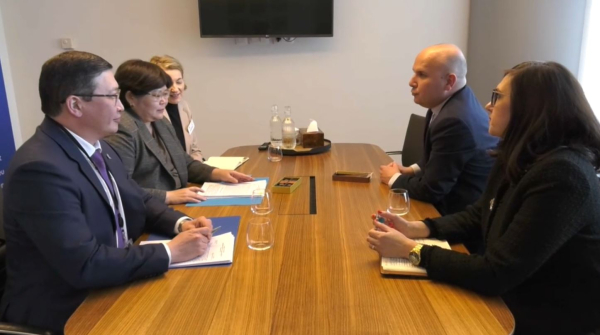 Конституционные и правовые реформы Казахстана высоко оценили в ЕС