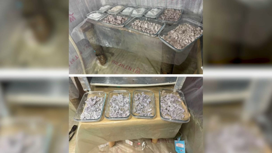 Алматыда есірткі зертханалары жойылды