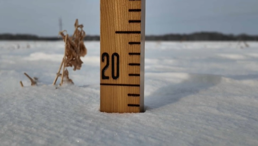 Синоптики в СКО оценивают снегозапасы