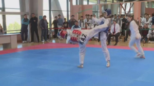 Конкурс на лучшее спортивное учебное заведение проходит в Талдыкоргане