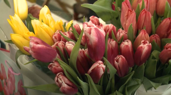 8 наурыз Халықаралық әйелдер күні