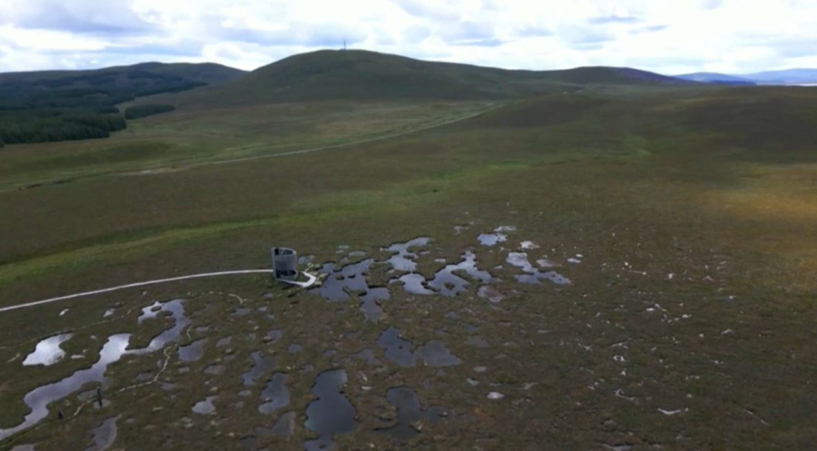 Финляндия мен Польша батпақты жерлерді қалпына келтіреді