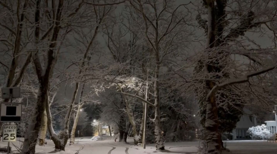 АҚШ-та 5 мыңнан астам әуе рейсі тоқтатылды