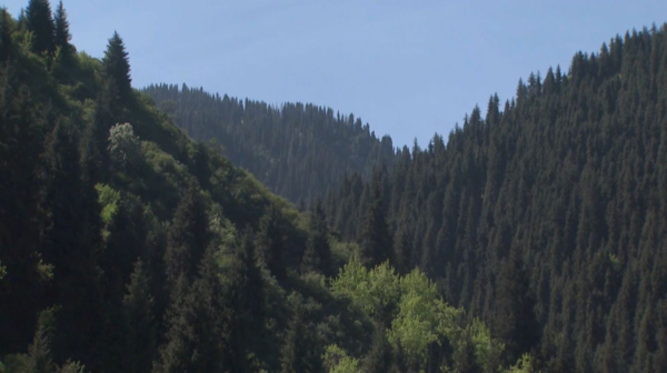 Парижде Қазақстан бойынша жолнұсқа таныстырылды