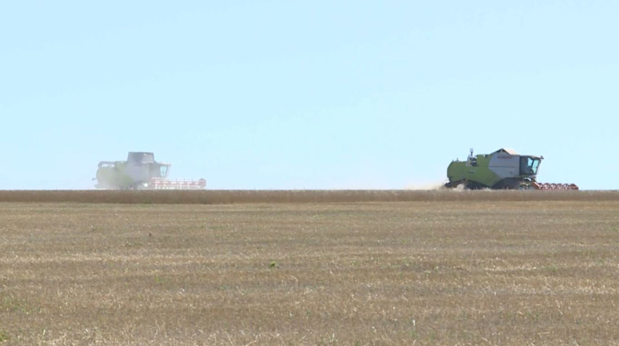 Майлы дақылдардың көлемі 4 млн га жетті