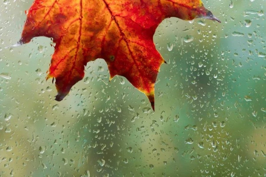 Қазақстанның бірқатар өңірінде жаңбыр жауып, жел күшейеді