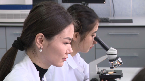 Казахстанские ученые нашли способ очистить воздух