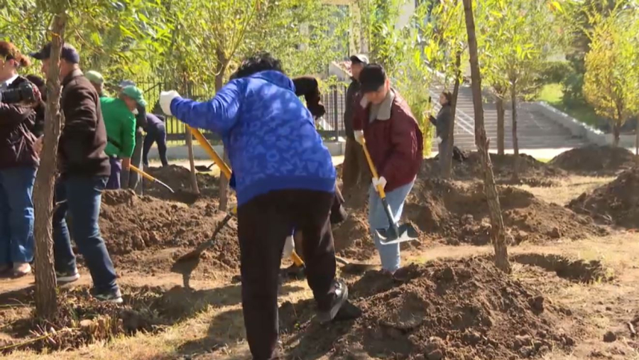 Елорданы көгалдандыру жалғасады