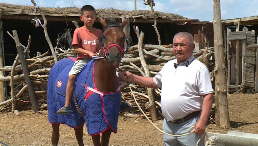 Қызылордада ұлттық құндылықты дәріптеген отбасы тұрады