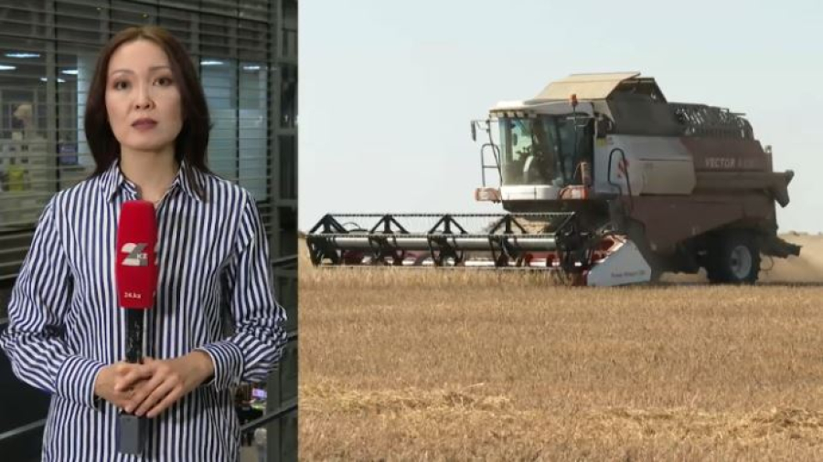 АПК усиливает переработку и импортозамещение