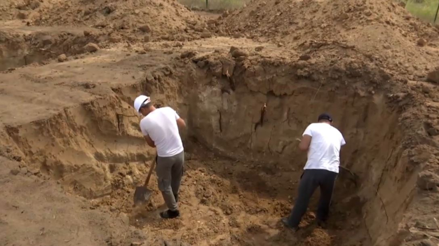 Производство сеянцев увеличивают в Карагандинской области