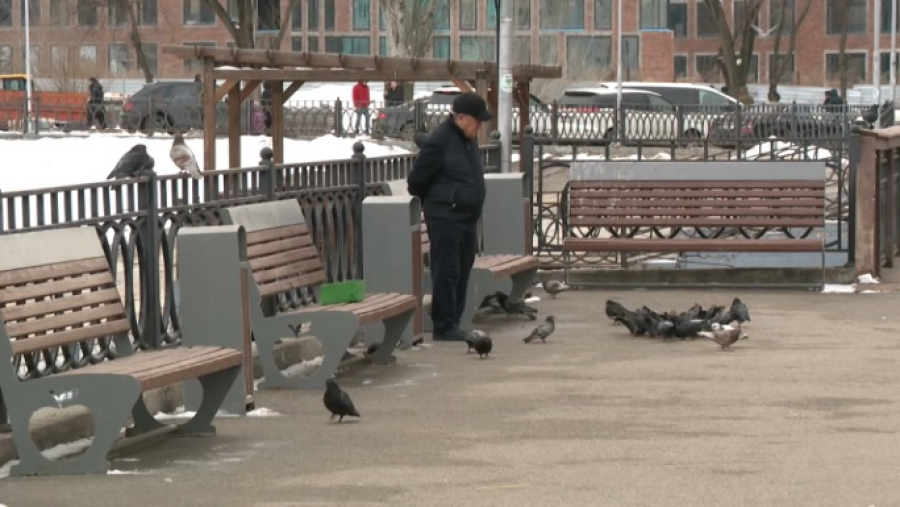 Грозит ли казахстанцам штраф за кормление бездомных животных