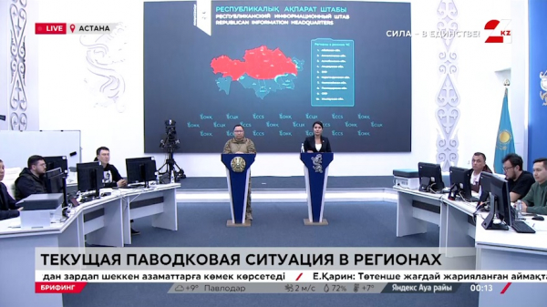 Брифинг. Текущая паводковая ситуация в регионах