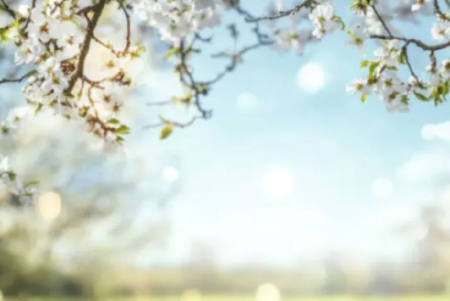 Какая погода ждёт казахстанцев в выходные 