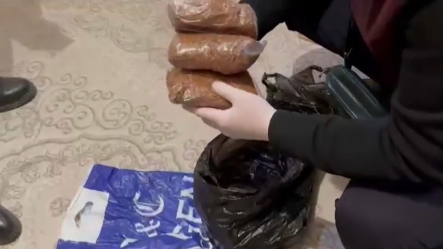 Шымкентте есірткі тасымалдаған курьер ұсталды