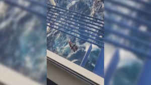 Круизный лайнер спас 19 мигрантов у берегов Флориды