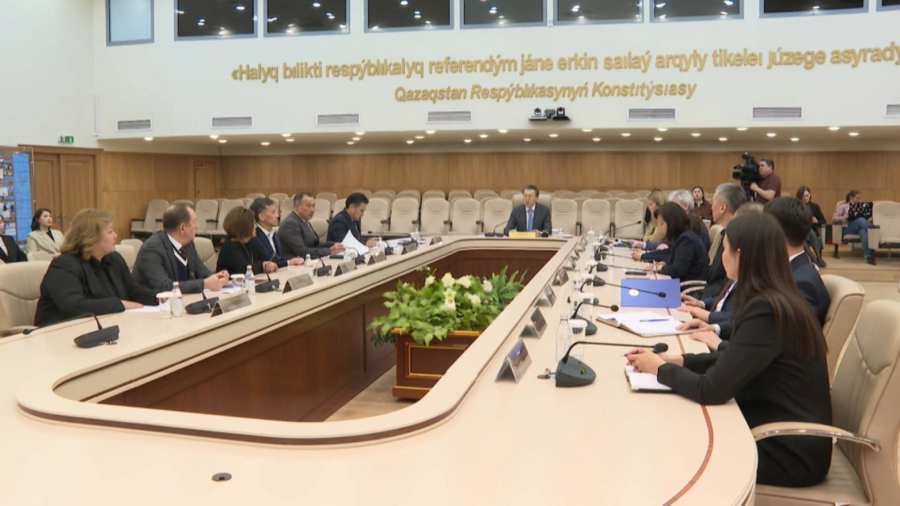 2025-2030 жылдарға арналған Инклюзивті саясат тұжырымдамасы қабылданды