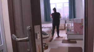 Свыше 400 пострадавших обратились в кризисный центр Алматы в 2023 году