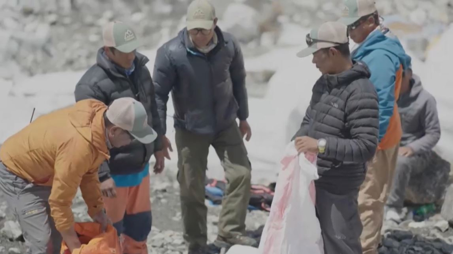 Как страны решают мусорный кризис