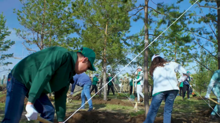 Таза Қазақстан: Астанада бір миллион ағаш егілмек