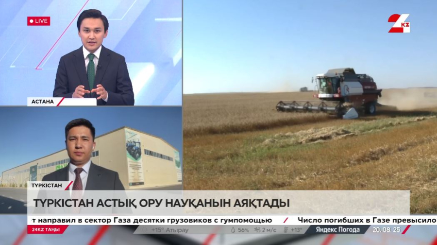 Түркістан астық ору науқанын аяқтады. Алшынбай Дәулетияр