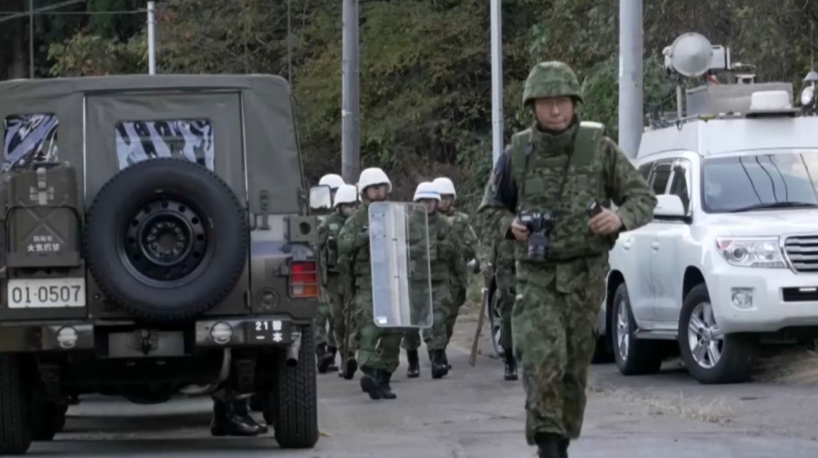 Жапонияда аюлармен күрес күшейді