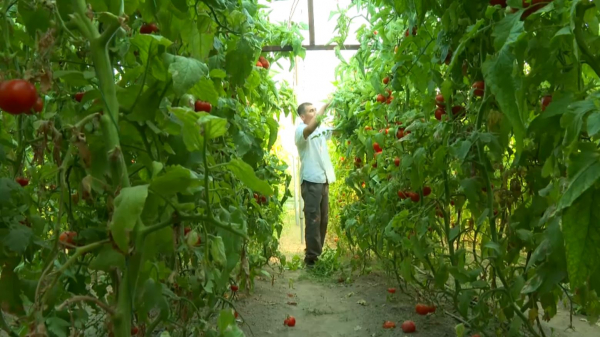 Қызылорда облысында «Ауыл аманаты» бойынша несие алушыларға талап қойылды