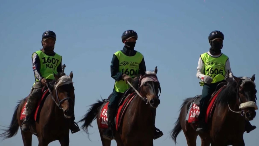 Е. Тоғжанов: Қостанай жылқы тұқымын қолдау керек. Live