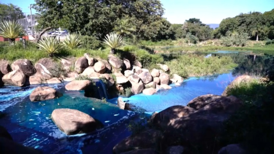 Краситель вылился в озеро в бразильском Сан-Паулу