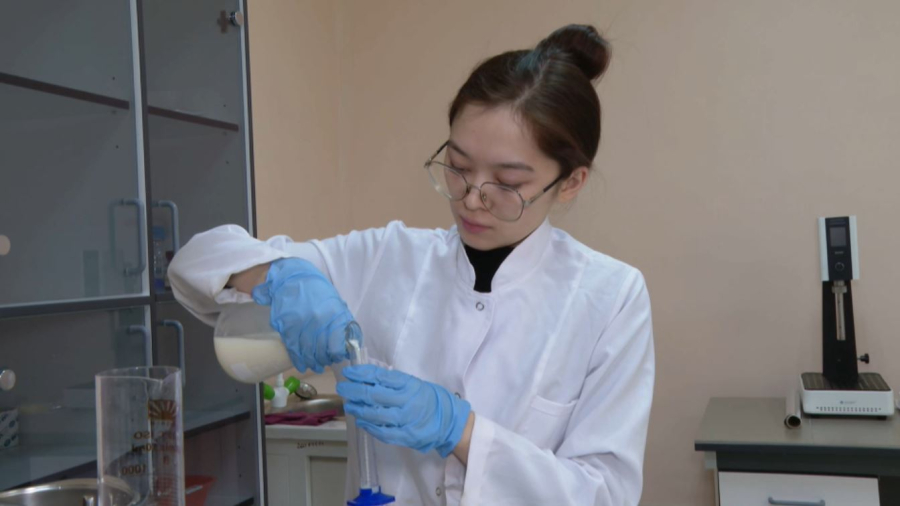 Отандық ғалымдар өсімдіктен сүт алуға болатынын дәлелдеді