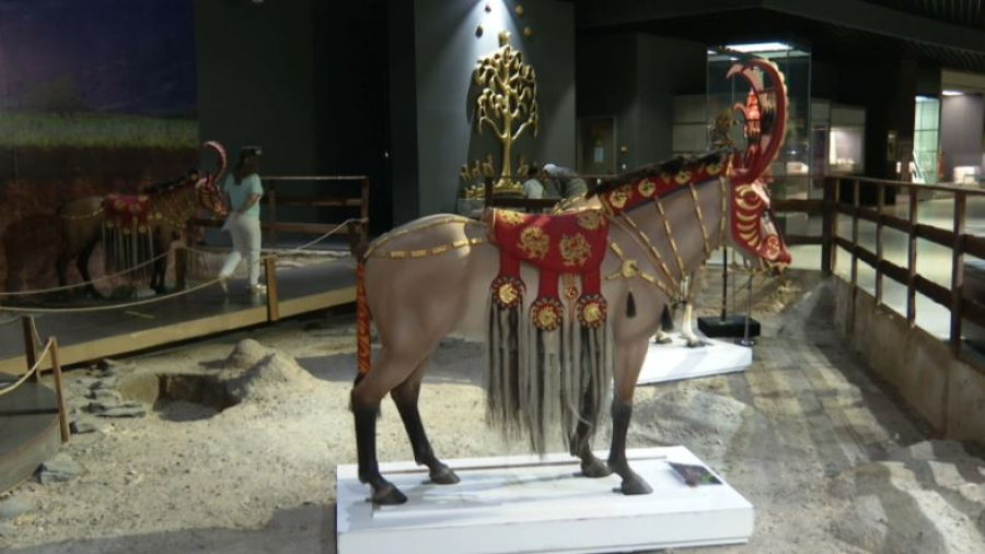 Культурная сфера Казахстана: итоги полугодия